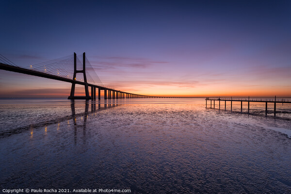 Vasco da Gama bridge, Lisbon, before sunrise Picture Board by Paulo Rocha