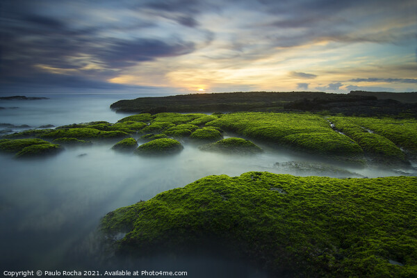 Green moss covered rocks in Magoito beach at sunset - Sintra, Portugal Picture Board by Paulo Rocha