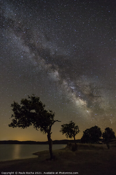 Night sky with milky way in Alentejo, Portugal Picture Board by Paulo Rocha