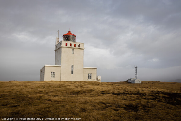 Dyrholaey lighthouse in south Iceland Picture Board by Paulo Rocha