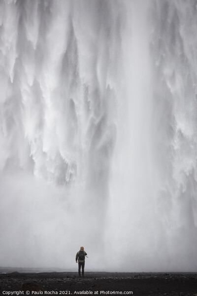 Skogafoss waterfall in southern Iceland Picture Board by Paulo Rocha