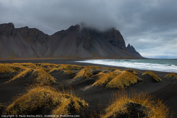 Vestrahorn mountain and stokksnes beach Picture Board by Paulo Rocha