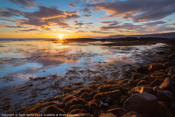 Sunset in Selvogur coastline, Iceland Picture Board by Paulo Rocha