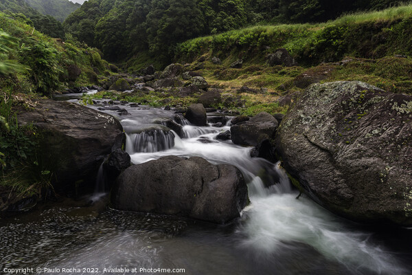Faial da Terra creek, São Miguel, Azores Picture Board by Paulo Rocha