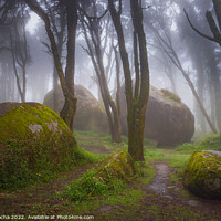 Buy canvas prints of Foggy forest path in Sintra mountain, Portugal by Paulo Rocha