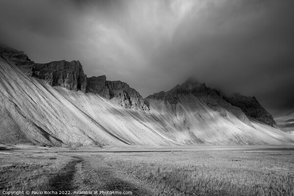 Vestrahorn mountain in Iceland Picture Board by Paulo Rocha