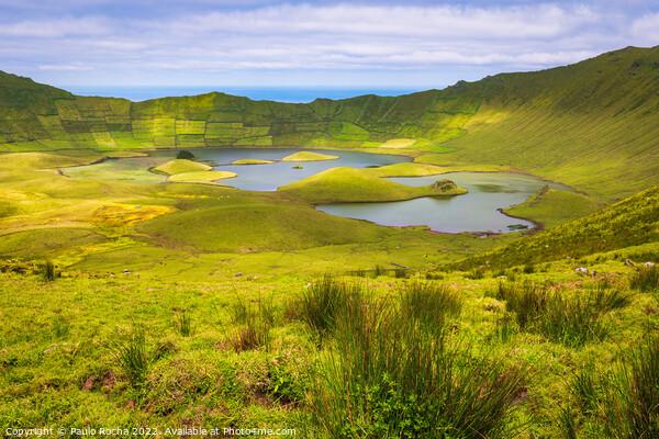 Caldeirao crater, Corvo island, Azores Picture Board by Paulo Rocha