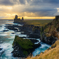 Buy canvas prints of Cliffs of Londrangar, Iceland by Paulo Rocha