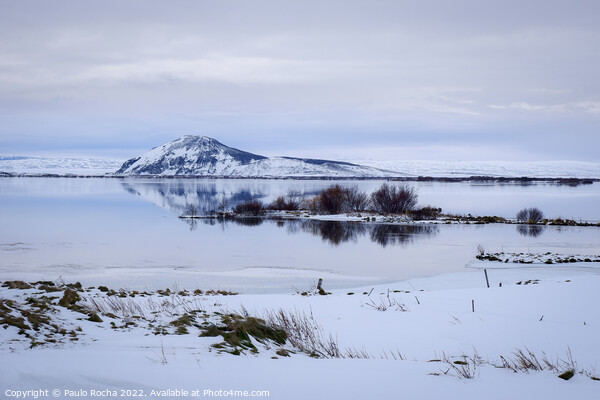 Myvatn lake in winter Picture Board by Paulo Rocha