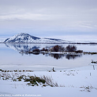Buy canvas prints of Myvatn lake in winter by Paulo Rocha