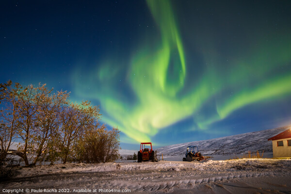Northern lights in Laugar, Iceland Picture Board by Paulo Rocha