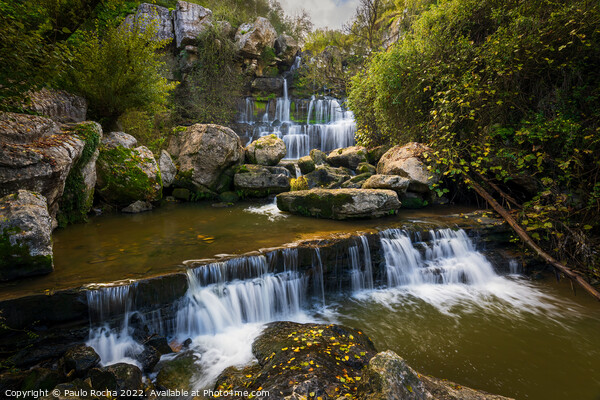 The beautiful Bajouca waterfall in Sintra, Portugal Picture Board by Paulo Rocha