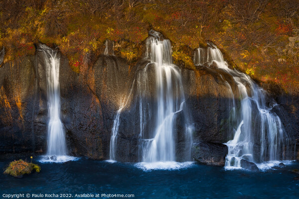 Hraunfossar waterfalls in autumn Picture Board by Paulo Rocha