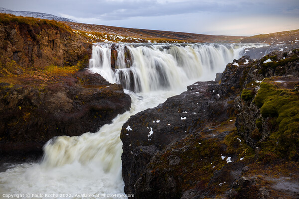 Kolufossar waterfall in Kolugljufur Iceland Picture Board by Paulo Rocha