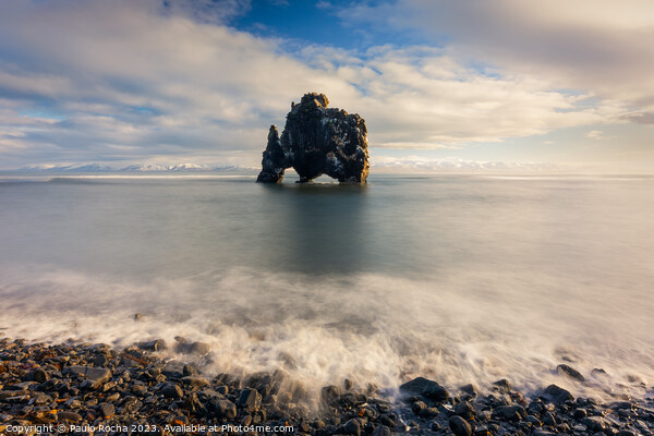 Hvitserkur rock formation in northern icelandic coast Picture Board by Paulo Rocha
