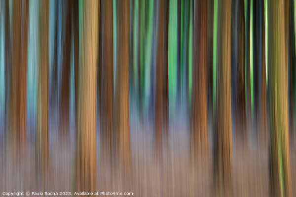 Abstract image of a blurred forest Picture Board by Paulo Rocha