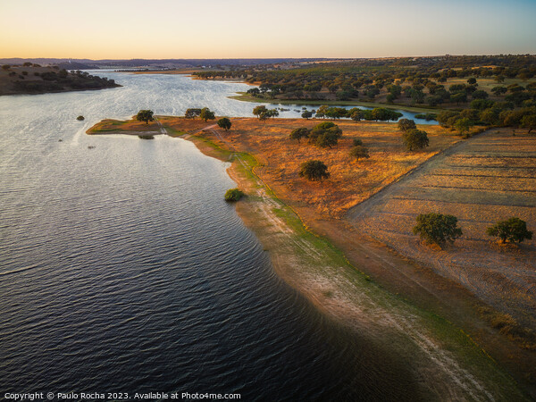 Cork oak forest by the lake at sunset - Alentejo, Portugal Picture Board by Paulo Rocha