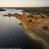 Buy canvas prints of Cork oak forest by the lake at sunset - Alentejo, Portugal by Paulo Rocha