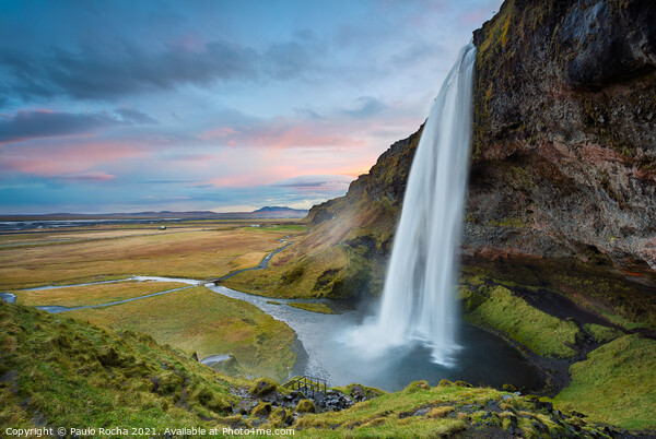 Seljalandsfoss waterfall in Iceland Picture Board by Paulo Rocha