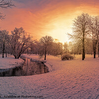 Buy canvas prints of Sunset in snowy park  by Maria Vonotna
