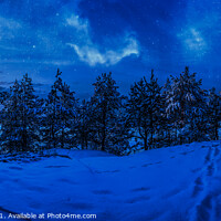 Buy canvas prints of Winter night in snowy forest with full moon by Maria Vonotna