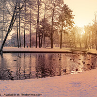 Buy canvas prints of Snowy park at sunset by Maria Vonotna