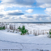 Buy canvas prints of Snowy Baltic sea coast by Maria Vonotna