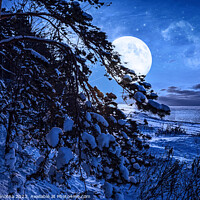 Buy canvas prints of Winter night by Maria Vonotna