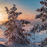 Buy canvas prints of Snowy landscape at sunset by Maria Vonotna