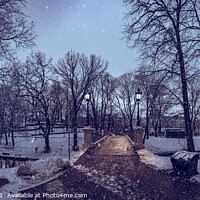 Buy canvas prints of Panorama of a snowy city park during in the evening by Maria Vonotna