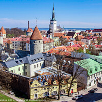 Buy canvas prints of Tallinn downtown aerial view by Maria Vonotna