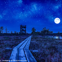 Buy canvas prints of Night view of swamp with observation tower by Maria Vonotna