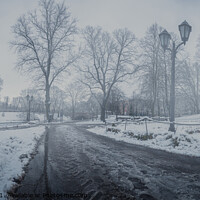 Buy canvas prints of Foggy covered in snow city park in winter by Maria Vonotna