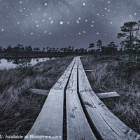 Buy canvas prints of Black and white photo of wooden trail across swamp by Maria Vonotna