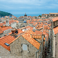 Buy canvas prints of Dubrovnik city center by Maria Vonotna