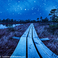 Buy canvas prints of Wooden trail over night swamp by Maria Vonotna