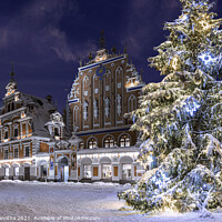Buy canvas prints of Illuminated Christmas tree at night in Riga by Maria Vonotna