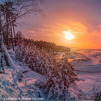 Buy canvas prints of Colorful sunset over snowy sea coast and pine  by Maria Vonotna