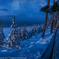 Buy canvas prints of Magic winter night landscape with snow covered fir by Maria Vonotna