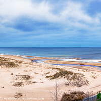 Buy canvas prints of Sand beach and Baltic sea surrounded by conifer tr by Maria Vonotna