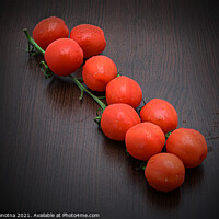 Buy canvas prints of Fresh cherry or mini tomatoes on a branch by Maria Vonotna
