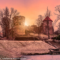 Buy canvas prints of Sunset over Cesis castle in beautiful park by Maria Vonotna