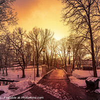 Buy canvas prints of Snowy park during sunset in Riga, Latvia.  by Maria Vonotna
