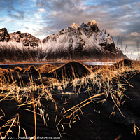 Buy canvas prints of Vestrahorn Gold by Tony Prower