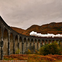 Buy canvas prints of Glenfinnan viaduct with Jacobite  by Rachel Harris