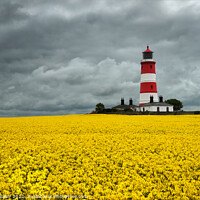 Buy canvas prints of Happisburgh lighthouse  in Oilseed field by Rachel Harris