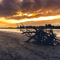 Buy canvas prints of Sunset along Fraser River by eacmich 