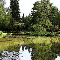 Buy canvas prints of Longstock Park Water Garden 02 by Sandra Day
