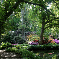 Buy canvas prints of Water Garden Longstock Park 06 by Sandra Day