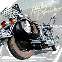 Buy canvas prints of Harley Davidson 02 by Sandra Day